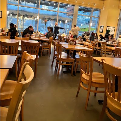 Restaurant Dining Chair with Solid Wood Frame and Modern PU Leather Design
